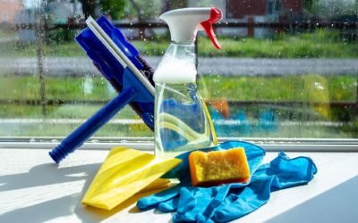 How To Maintain And Clean Your Windows